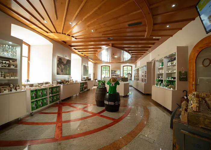 招待所 Savinja 3*