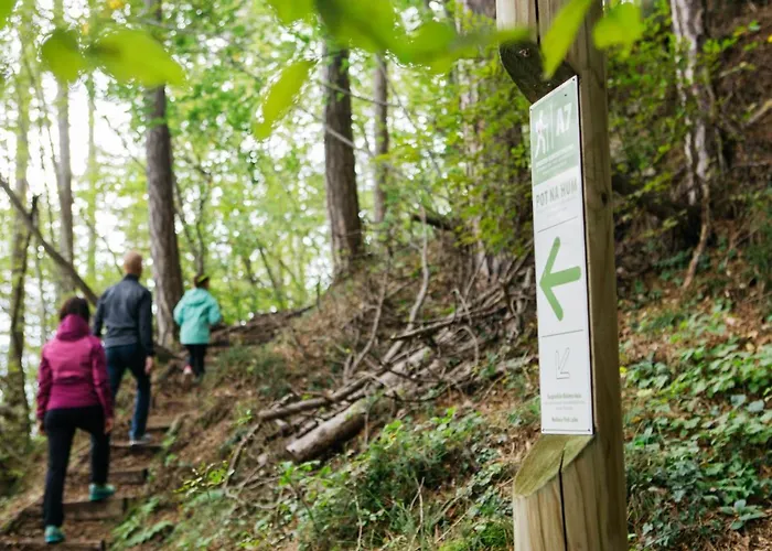 Savinja 招待所 3*