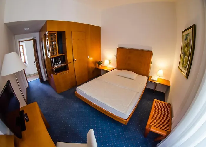 招待所 Savinja 3*